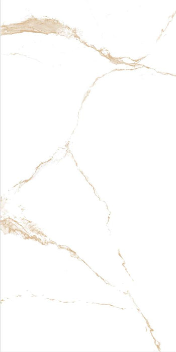 NEO CALACATTA GOLD 60*120