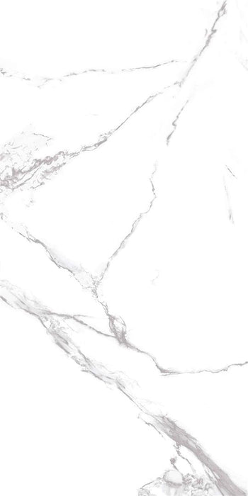 NEO CALACATTA SILVER 60*120